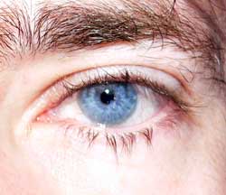 Profilo di Mehmethan