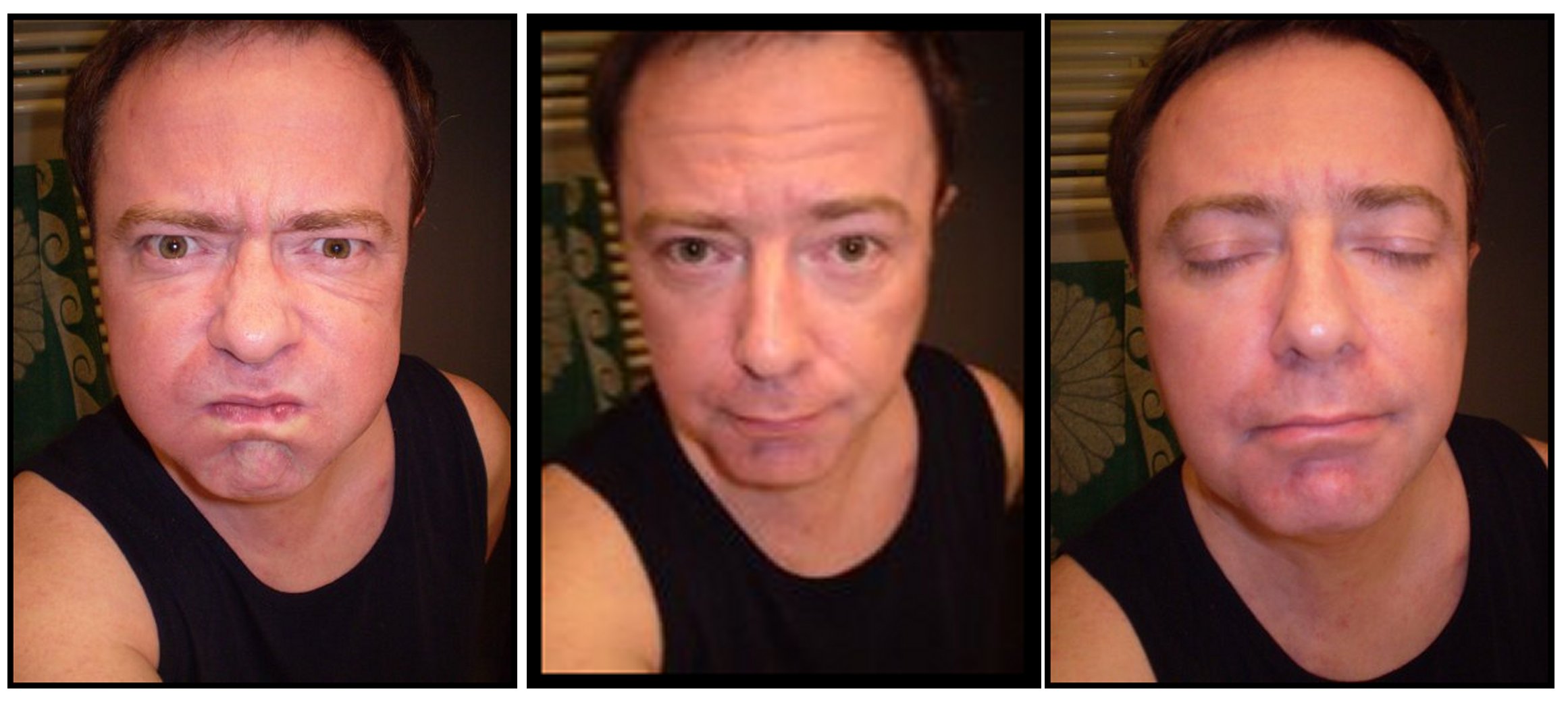 Profilo di Wenceslas