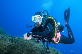 Profilo di Valérien